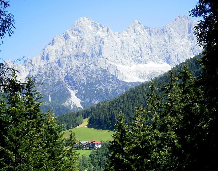 Fruehstueckspension Roetelstein Hotel Ramsau am Dachstein Eksteriør billede