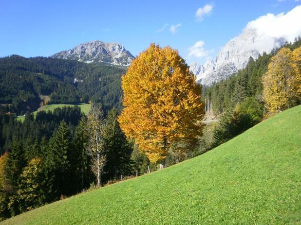 Fruehstueckspension Roetelstein Hotel Ramsau am Dachstein Eksteriør billede